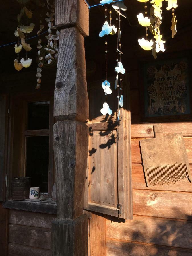 Woodenhouse Maramures Vişeu de Sus 外观 照片